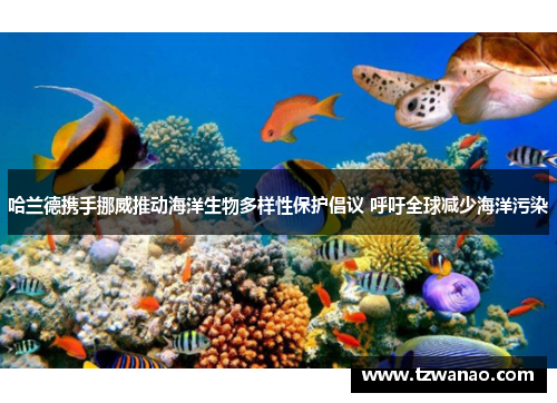 哈兰德携手挪威推动海洋生物多样性保护倡议 呼吁全球减少海洋污染