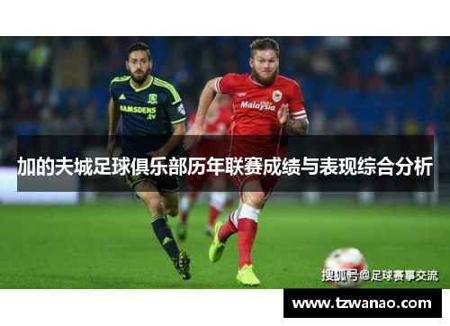 加的夫城足球俱乐部历年联赛成绩与表现综合分析