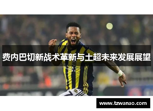 费内巴切新战术革新与土超未来发展展望