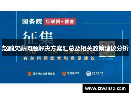 赵鹏欠薪问题解决方案汇总及相关政策建议分析