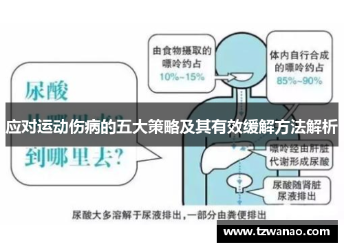 应对运动伤病的五大策略及其有效缓解方法解析