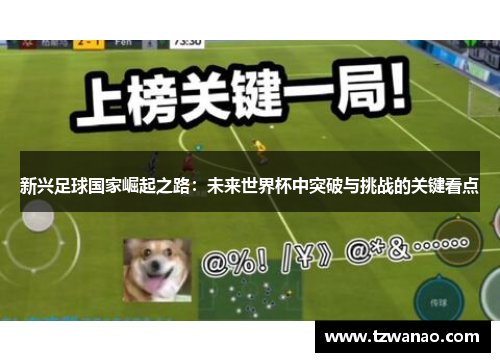 新兴足球国家崛起之路：未来世界杯中突破与挑战的关键看点