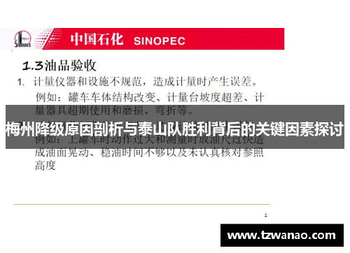梅州降级原因剖析与泰山队胜利背后的关键因素探讨 梅州降级原因剖析与泰山队胜利背后的关键因素探讨